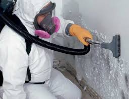 Mold Remediation for Vacation Homes in Shafter, CA